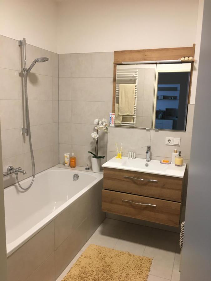 Ferienwohnung Danubia Линц Экстерьер фото